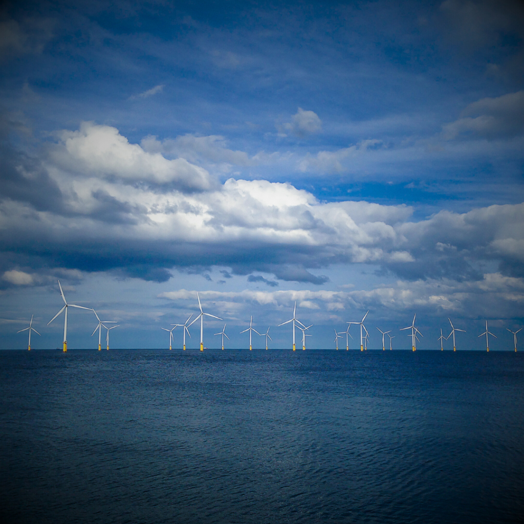 An offshore wind farm